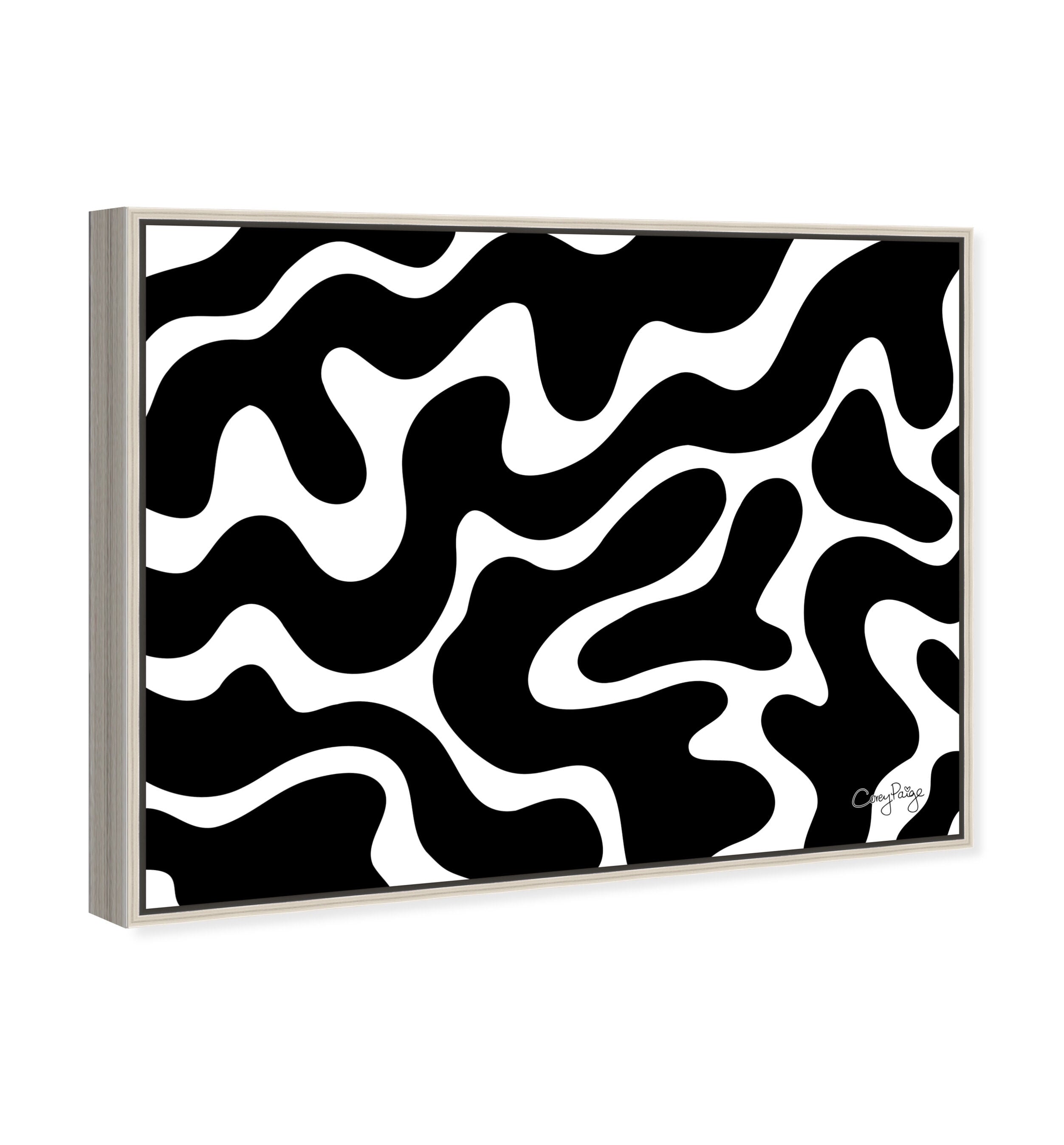Corey Paige - Black &amp; White Abstract