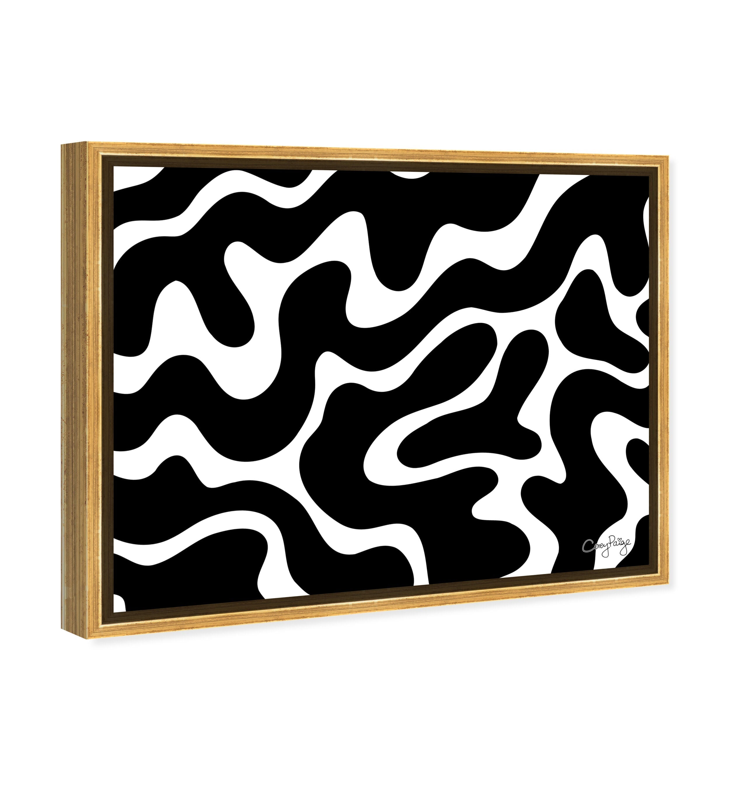 Corey Paige - Black &amp; White Abstract