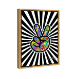 Corey Paige- Funky Peace Sign
