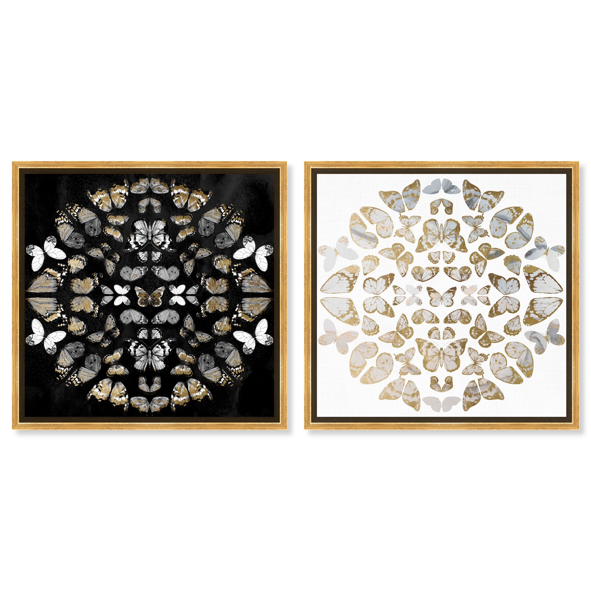 Butterfly Dream SET - Displayed in a Floating Frame Secondary image
