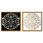 Butterfly Dream SET - Displayed in a Floating Frame