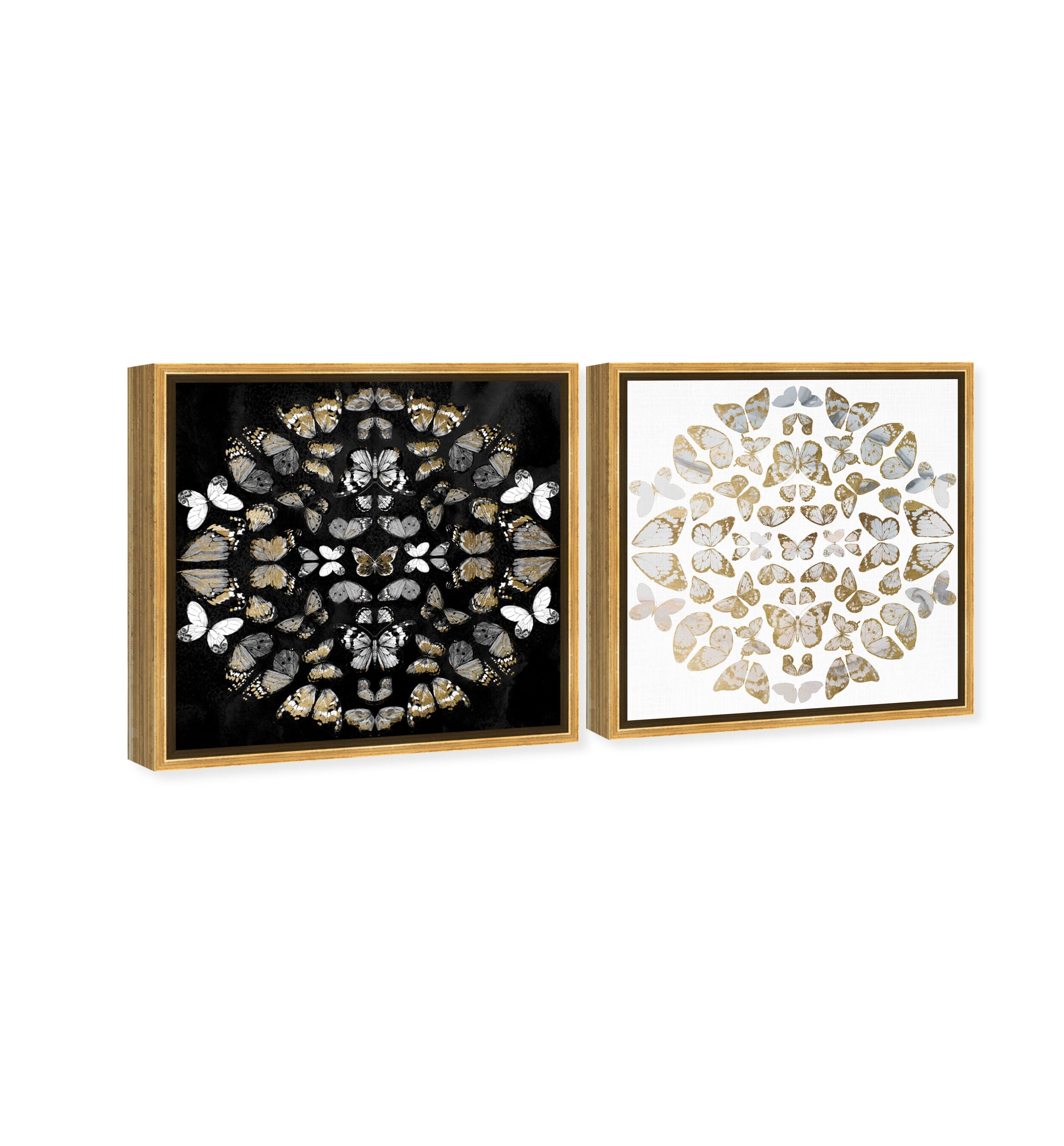Butterfly Dream SET - Displayed in a Floating Frame