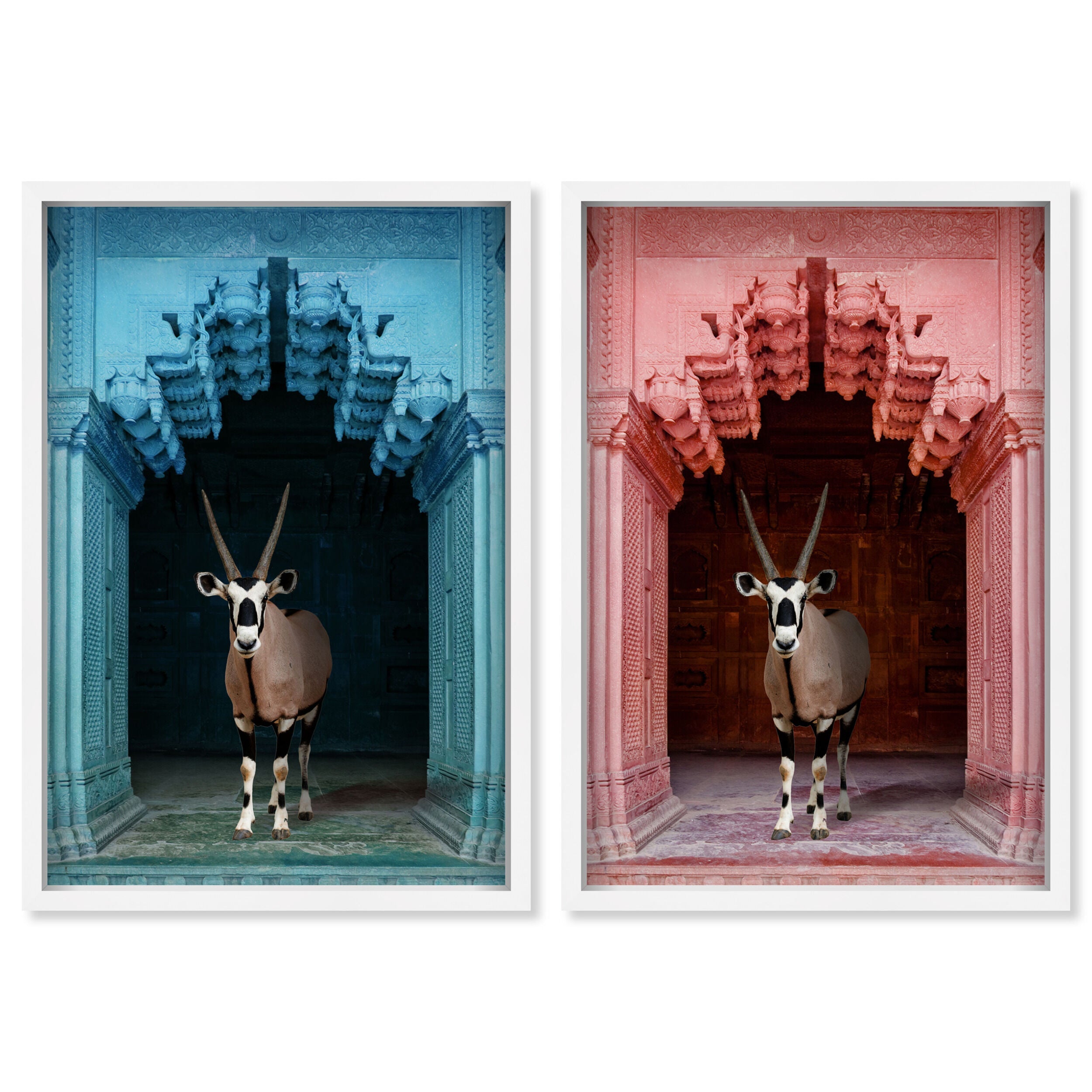 Whatsup Entrance Set of 2 - Displayed in a Shadowbox