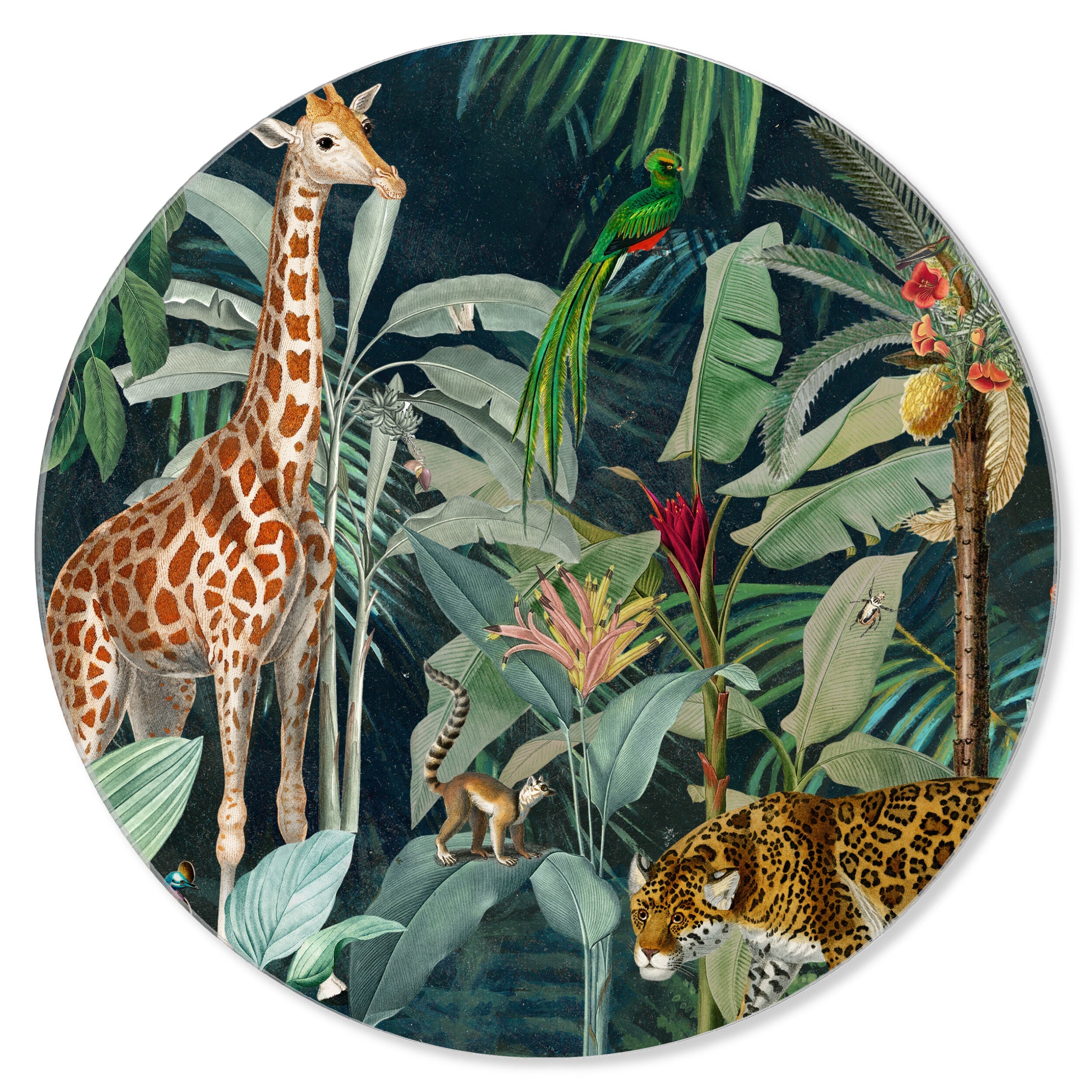 Jungle Reves - Round Acrylic Art Main image