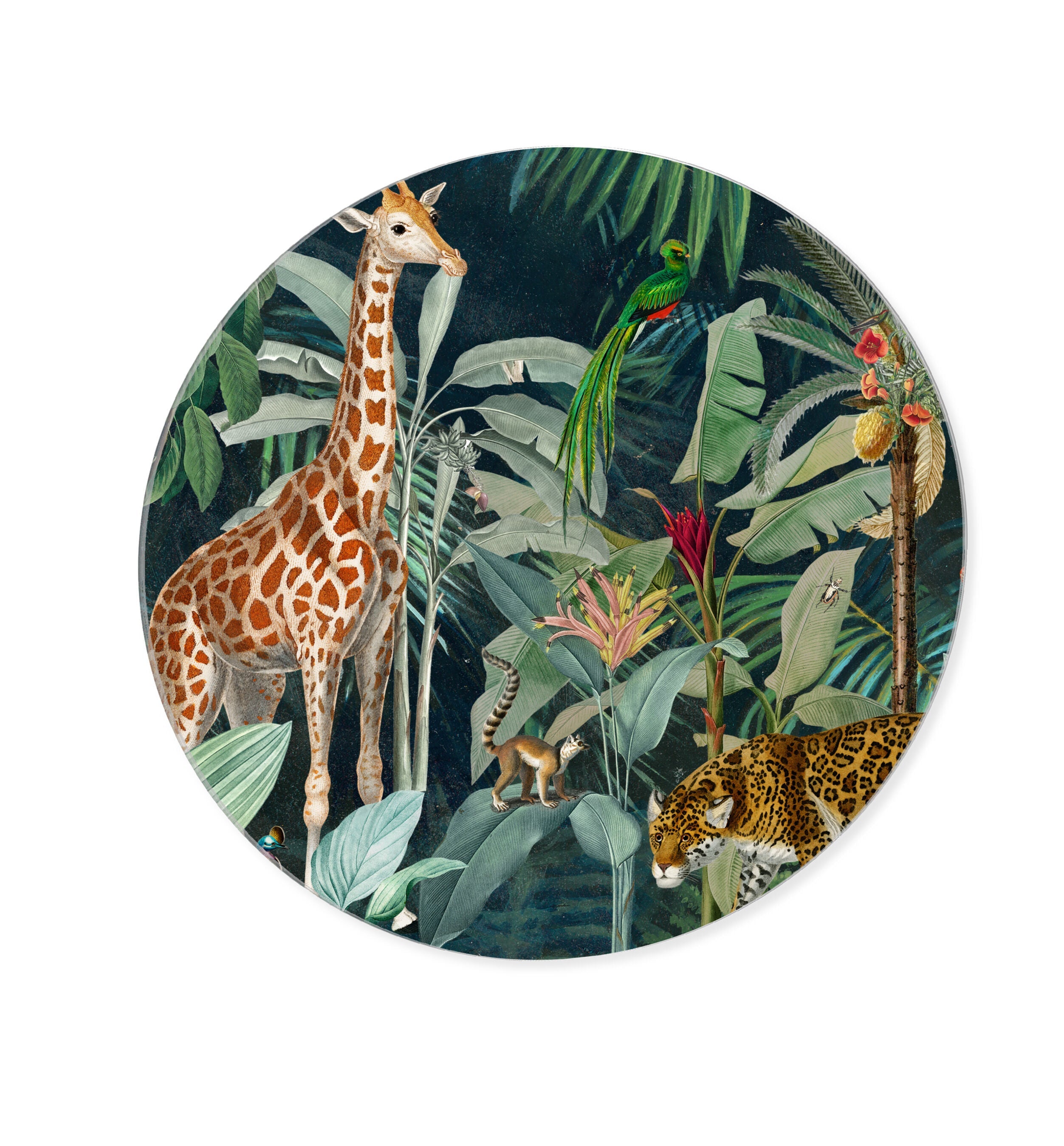 Jungle Reves - Round Acrylic Art