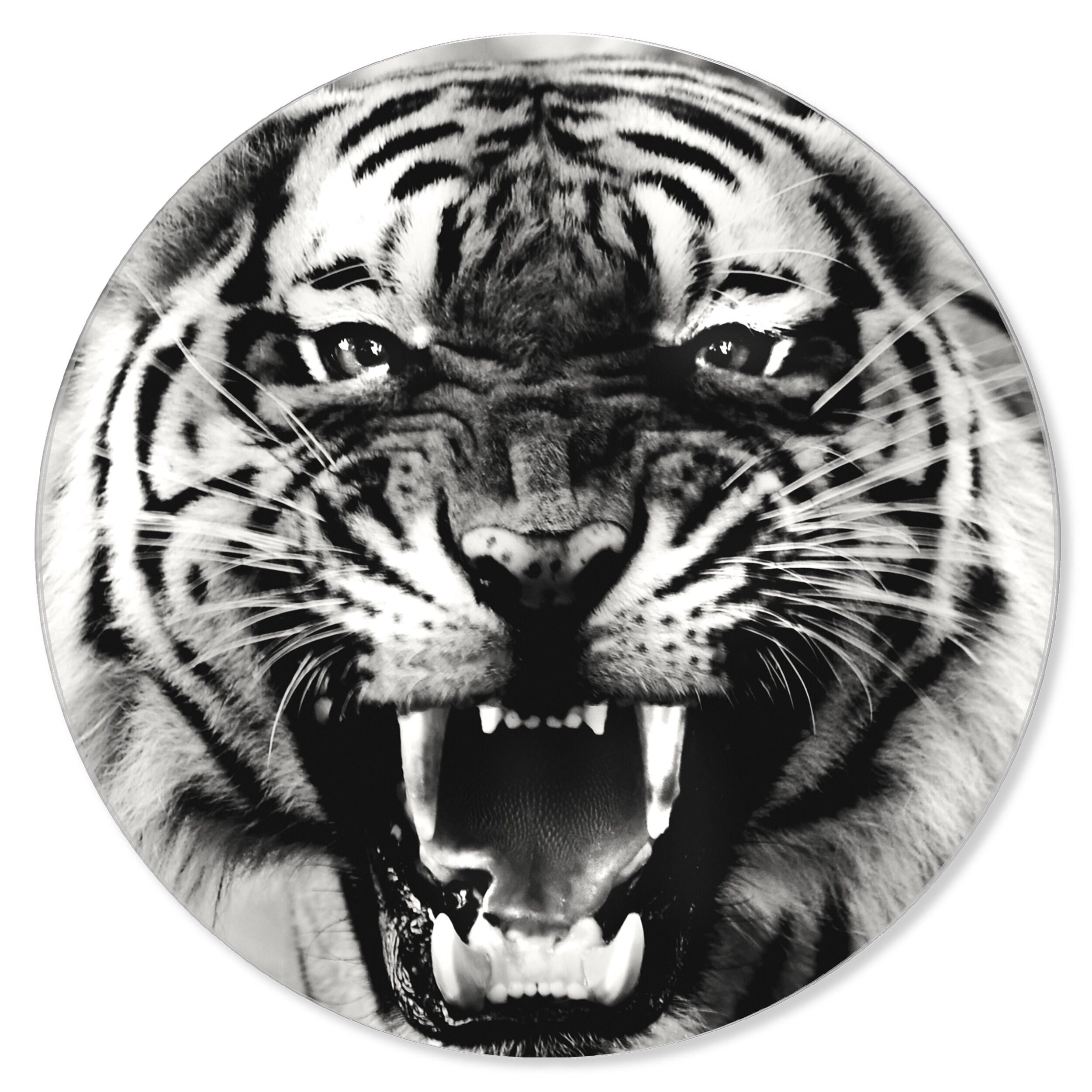 Wild Tiger - Round Acrylic Art Secondary image