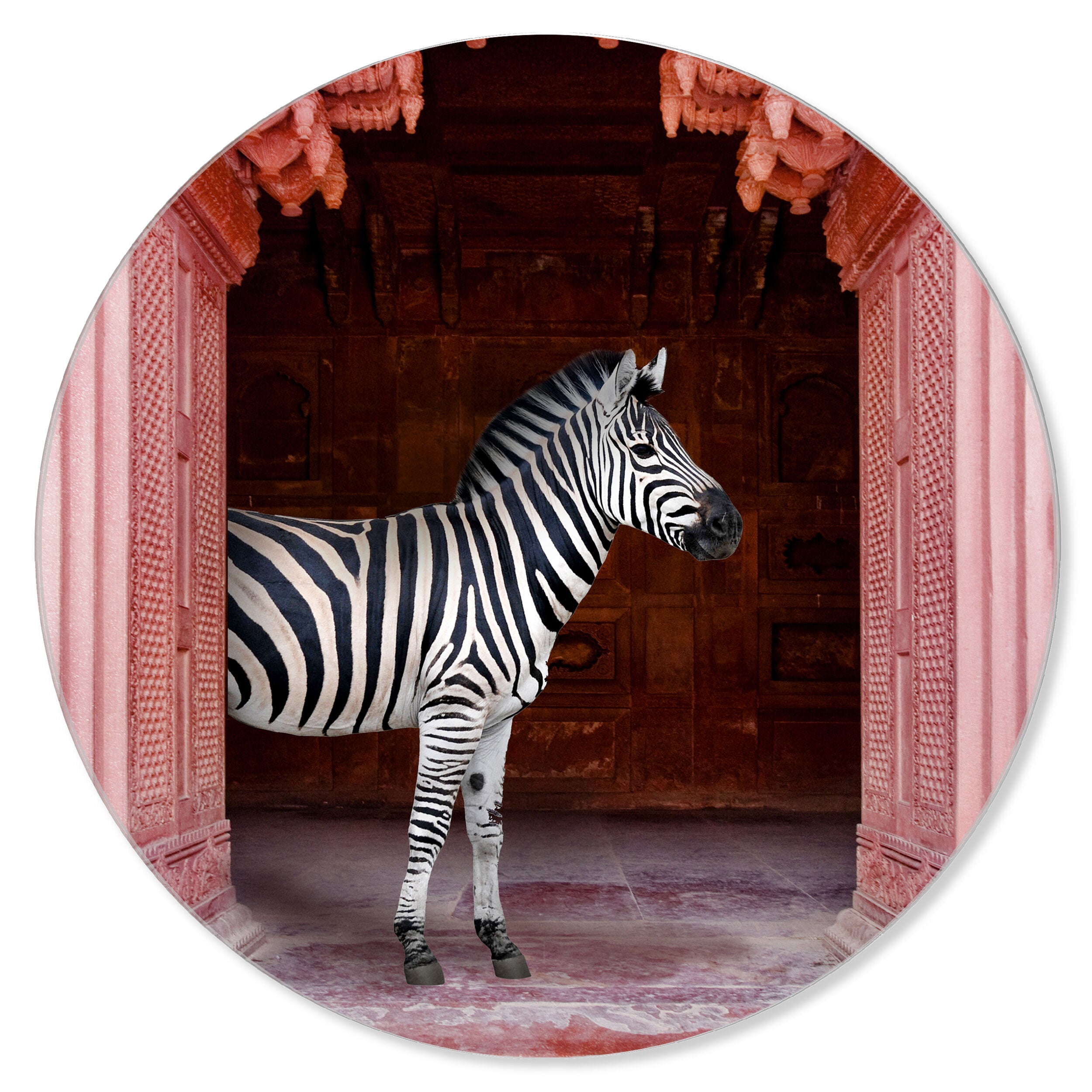 Zebras Apartment is Coral Pink - Round Acrylic Art Main image