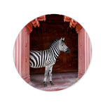 Zebras Apartment is Coral Pink - Round Acrylic Art