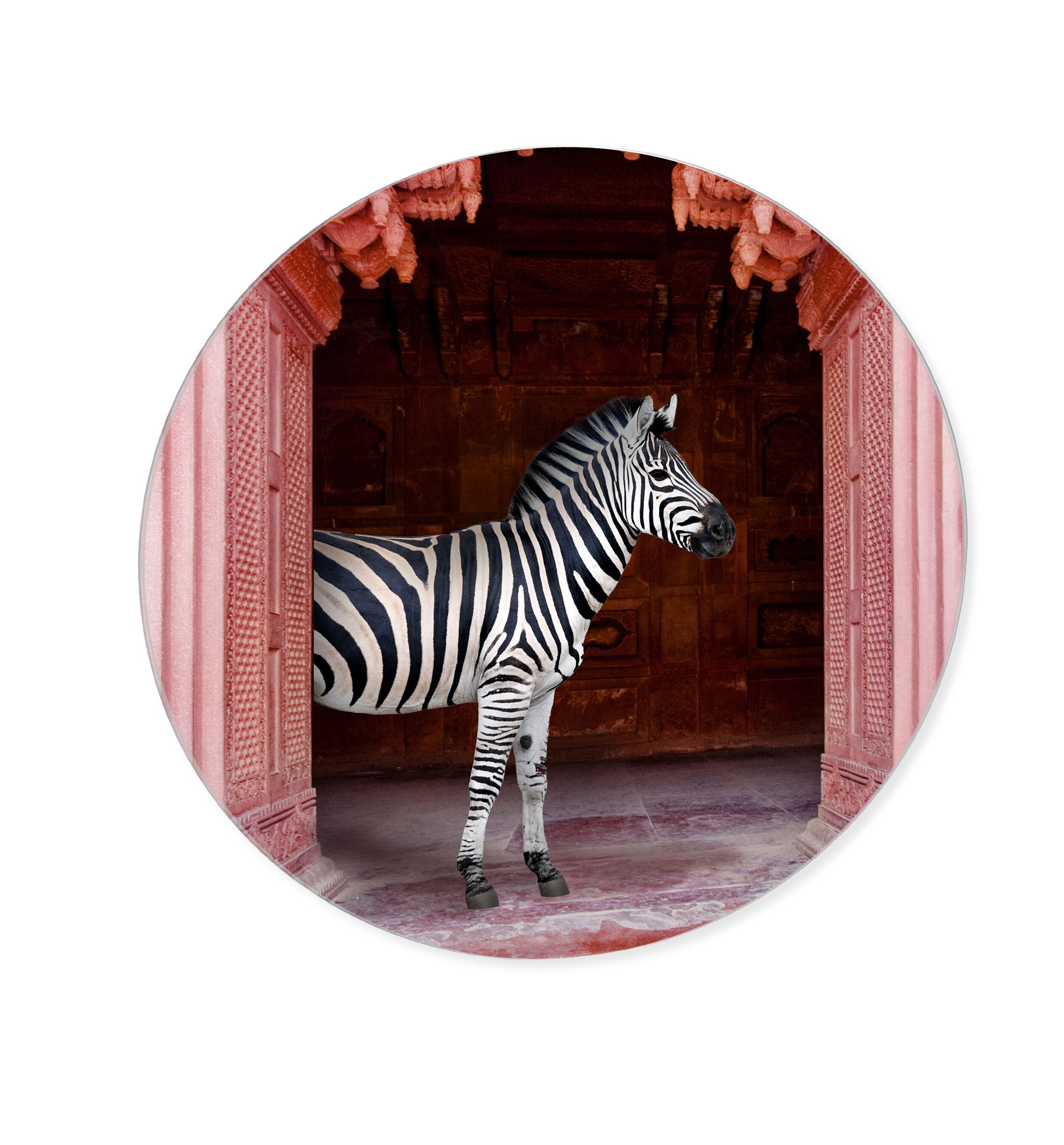 Zebras Apartment is Coral Pink - Round Acrylic Art