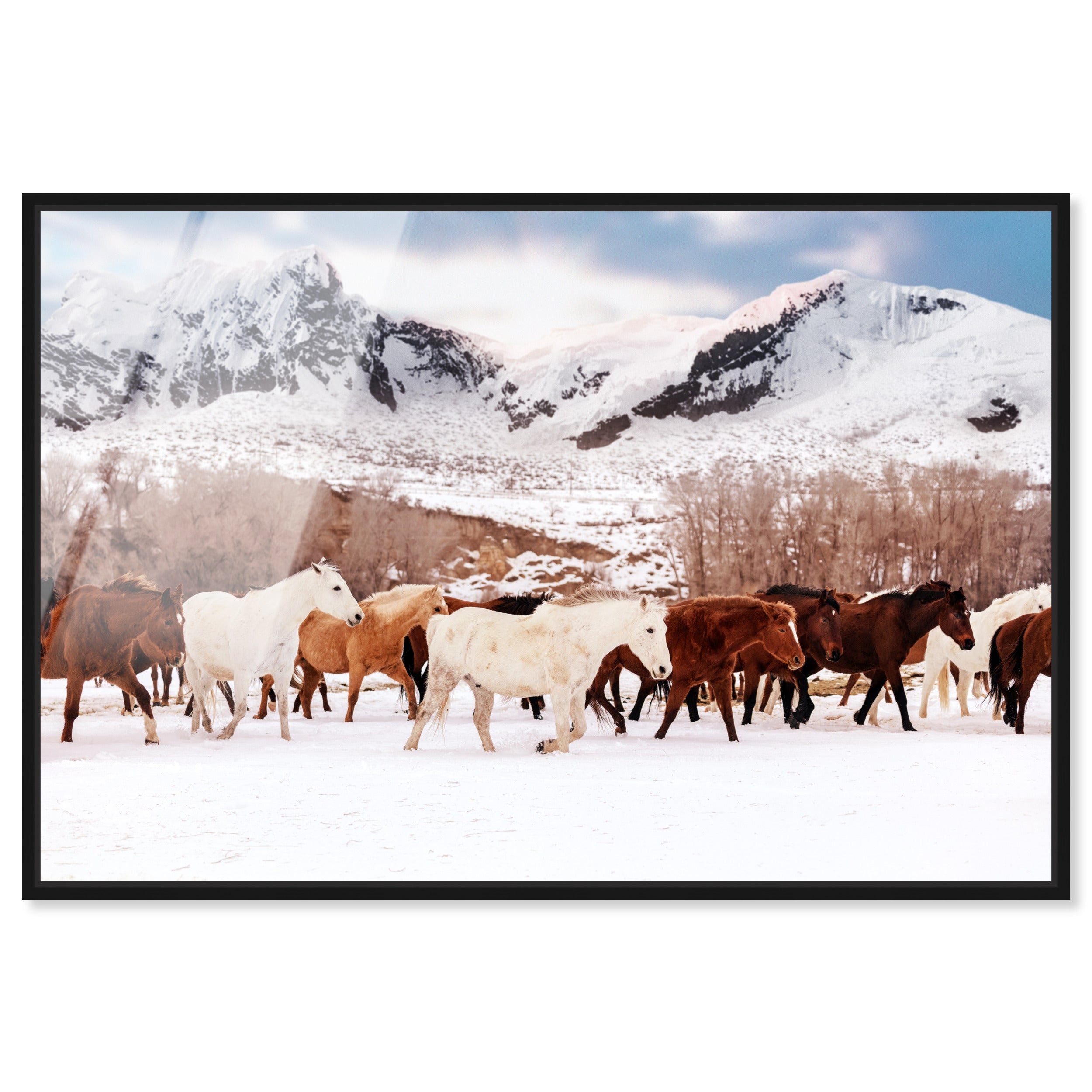 Tender Yet Fierce Union | Acrylic Panel