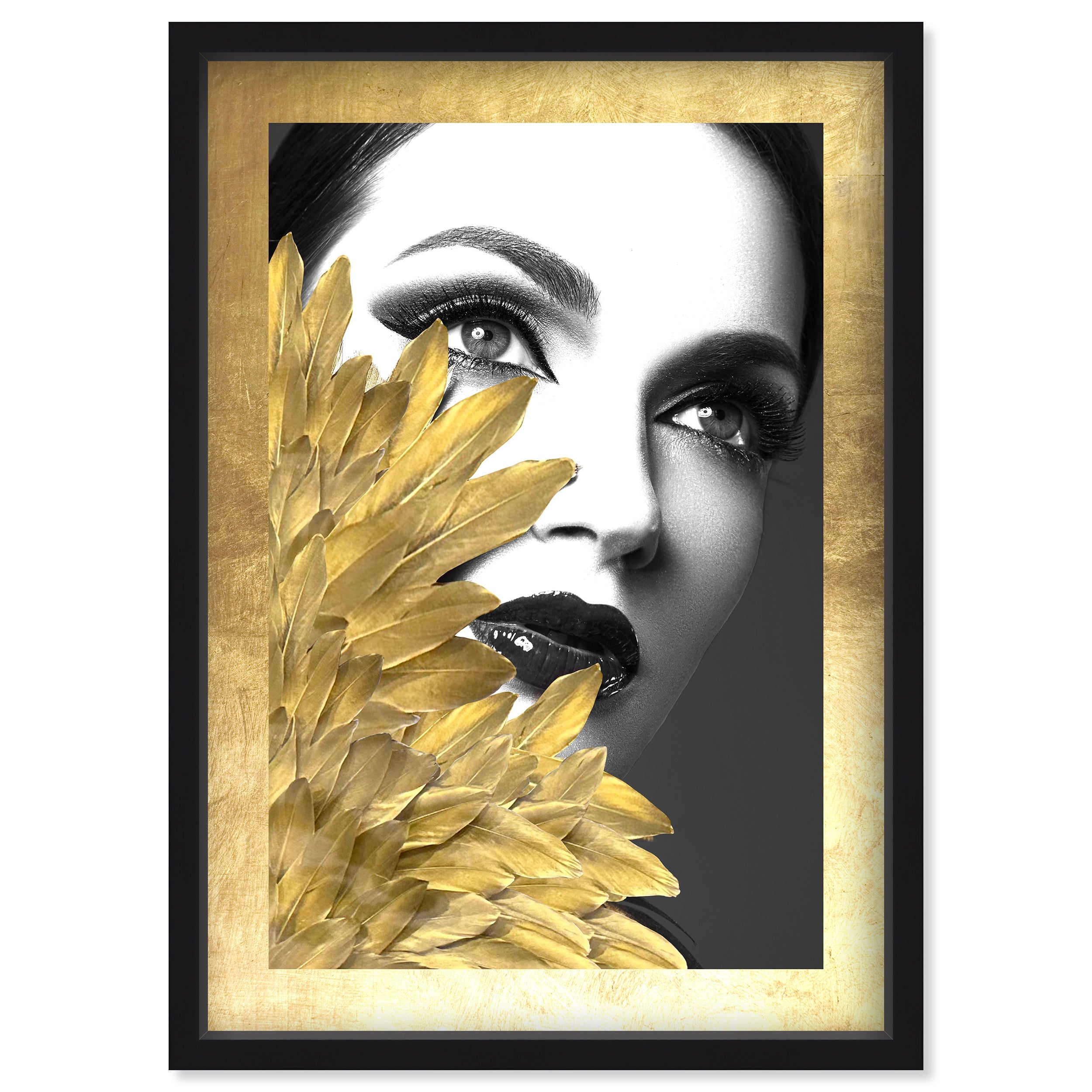 B&W Feathered Couture Cover II Main image