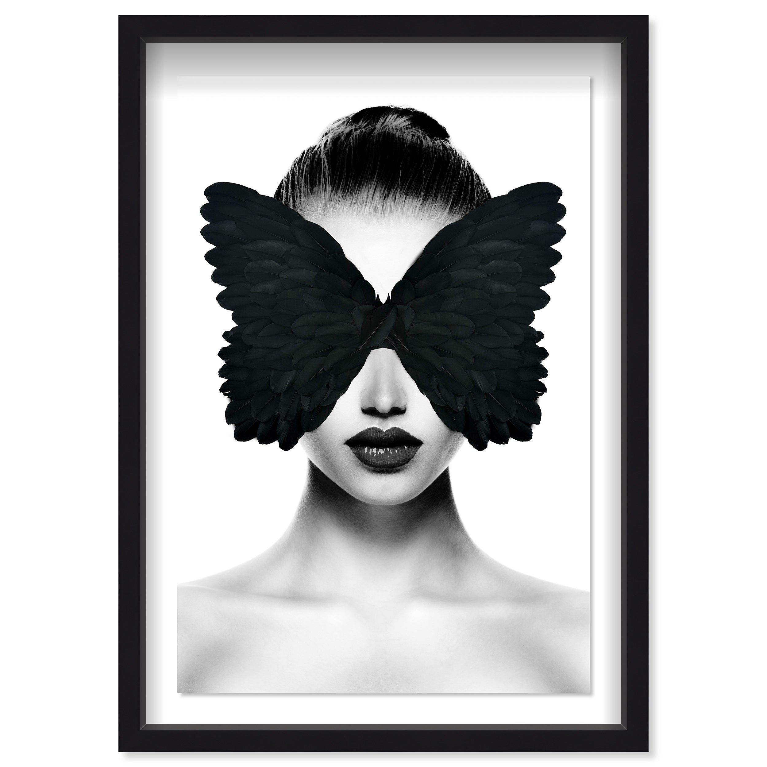 Midnight Duchess II Feathers Main image