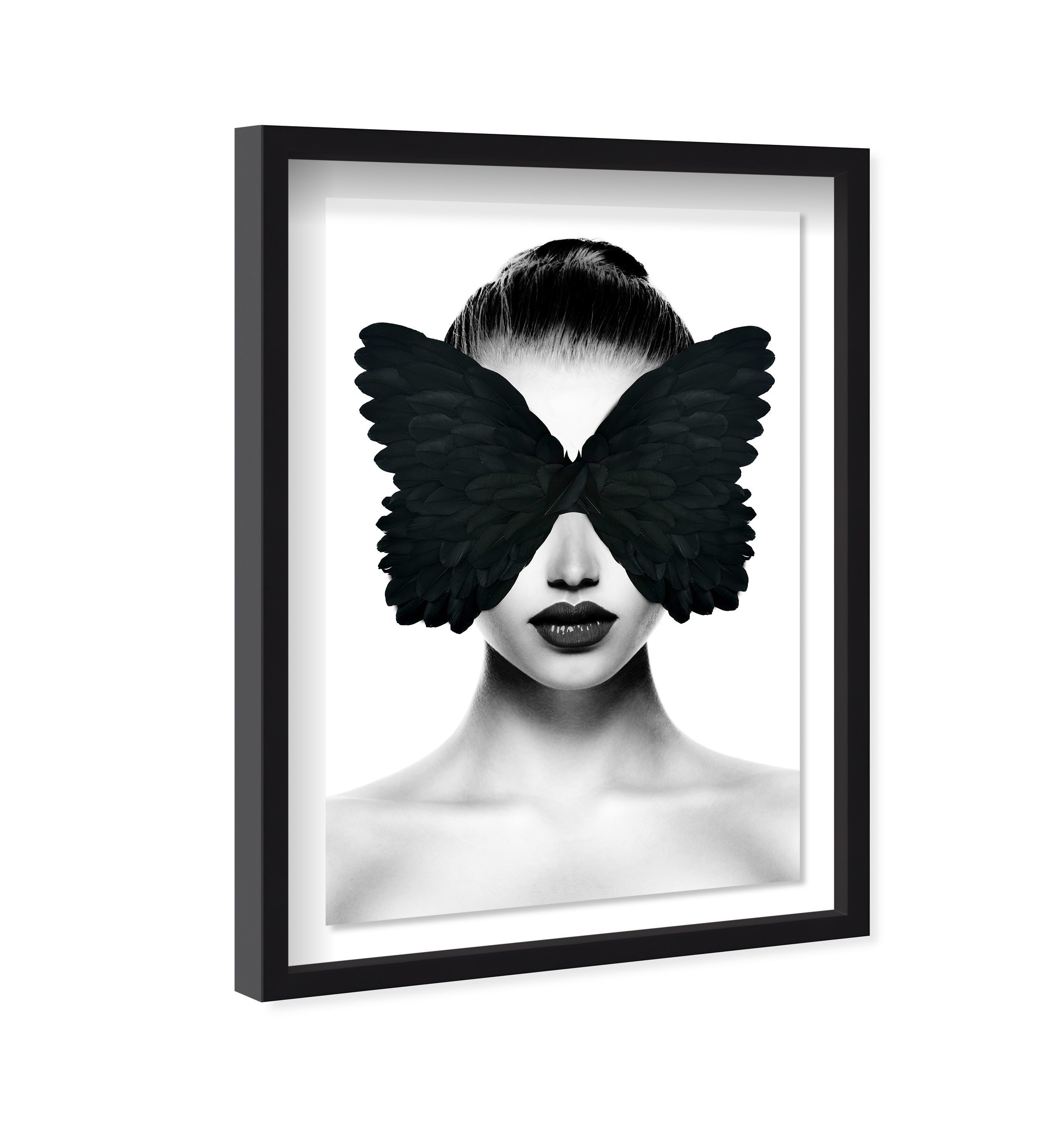 Midnight Duchess II Feathers