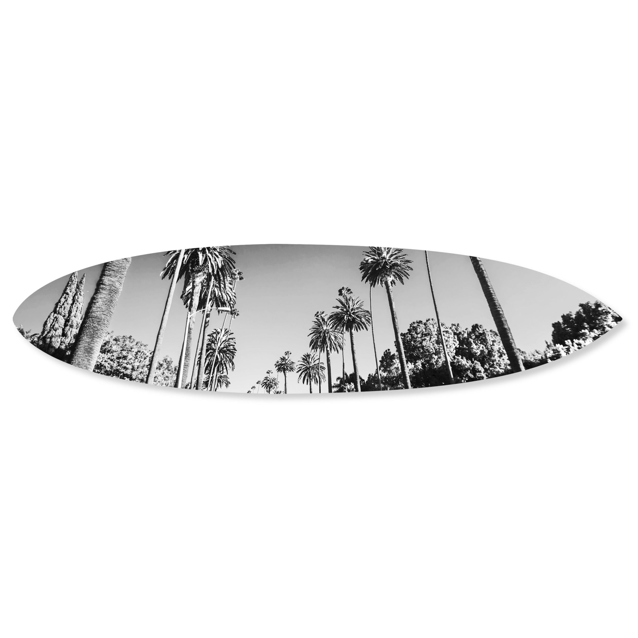 Beverly Drive Surfboard Main image
