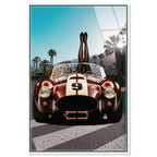 Legs up Cobra - Framed Acrylic Art