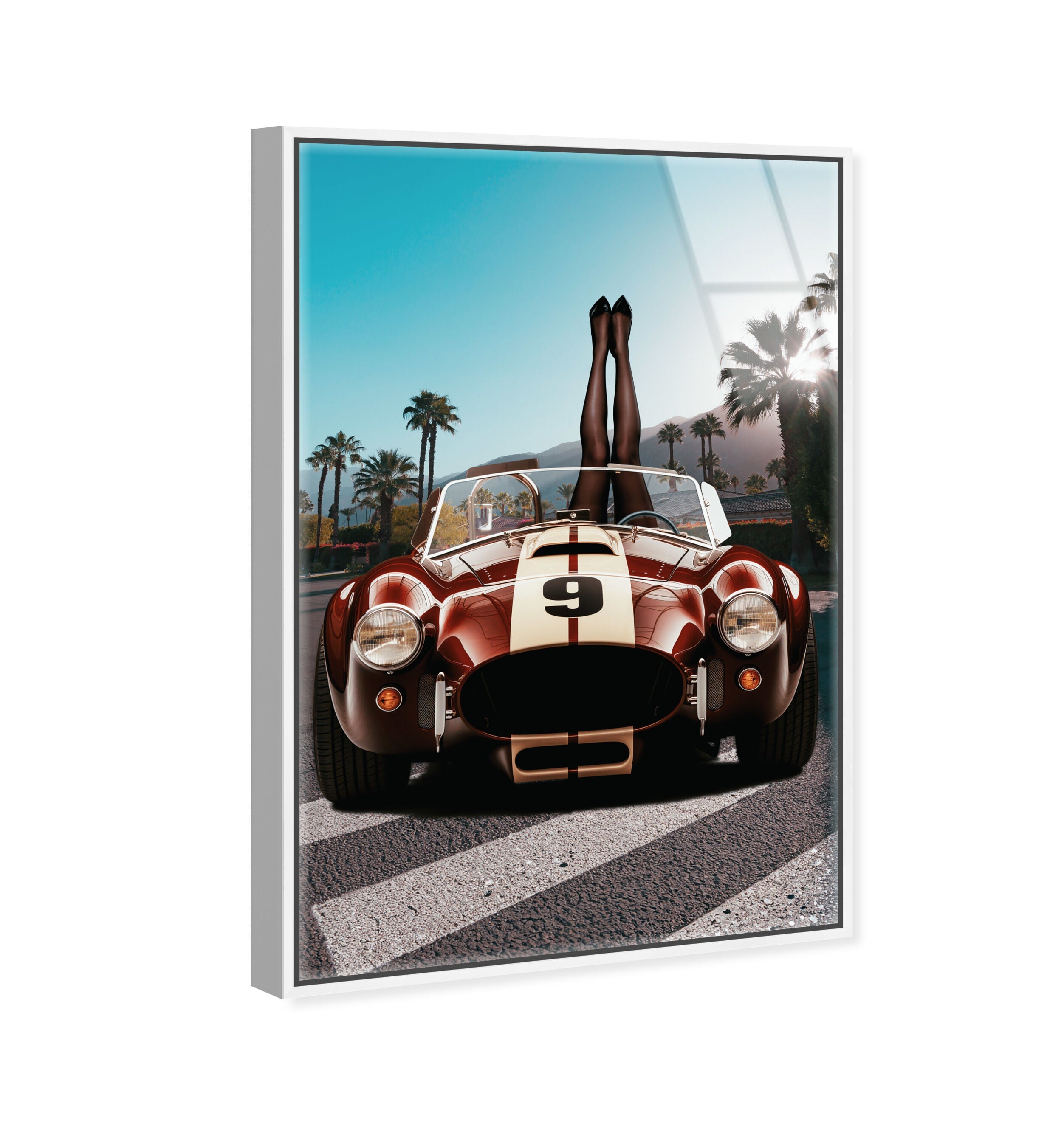 Legs up Cobra - Framed Acrylic Art