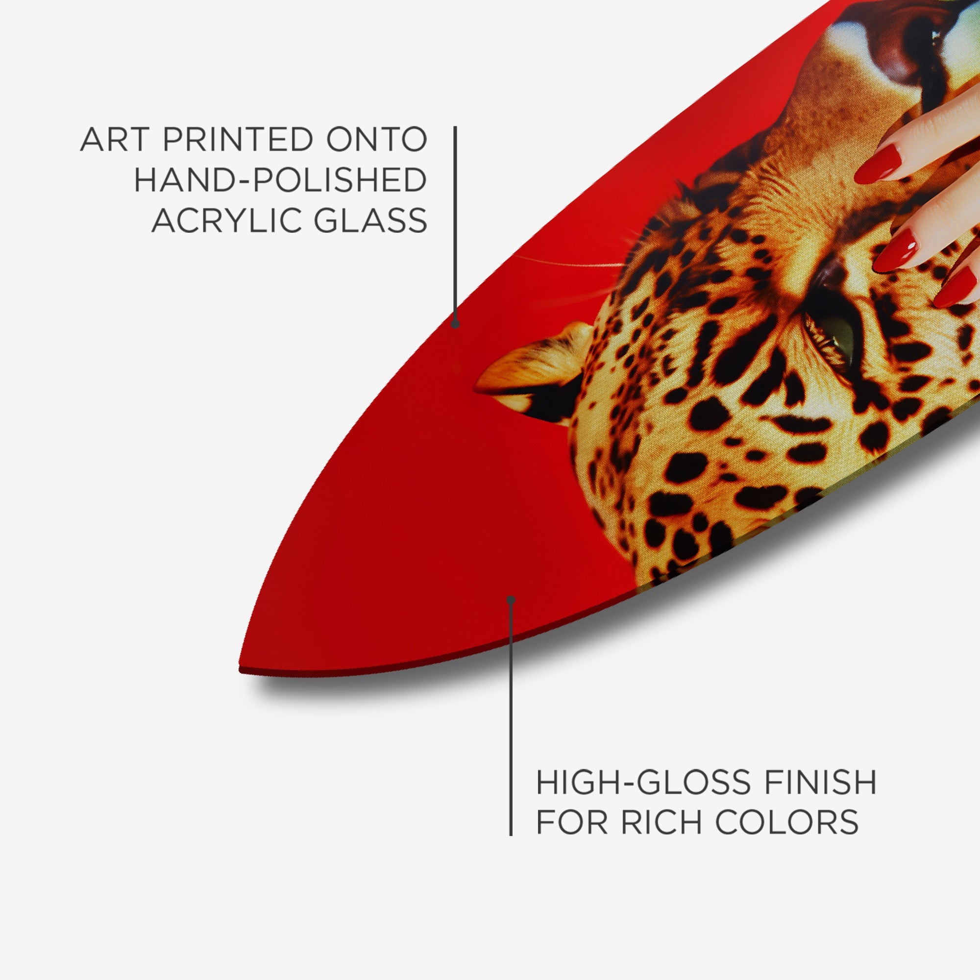 Wild Hand Surfboard
