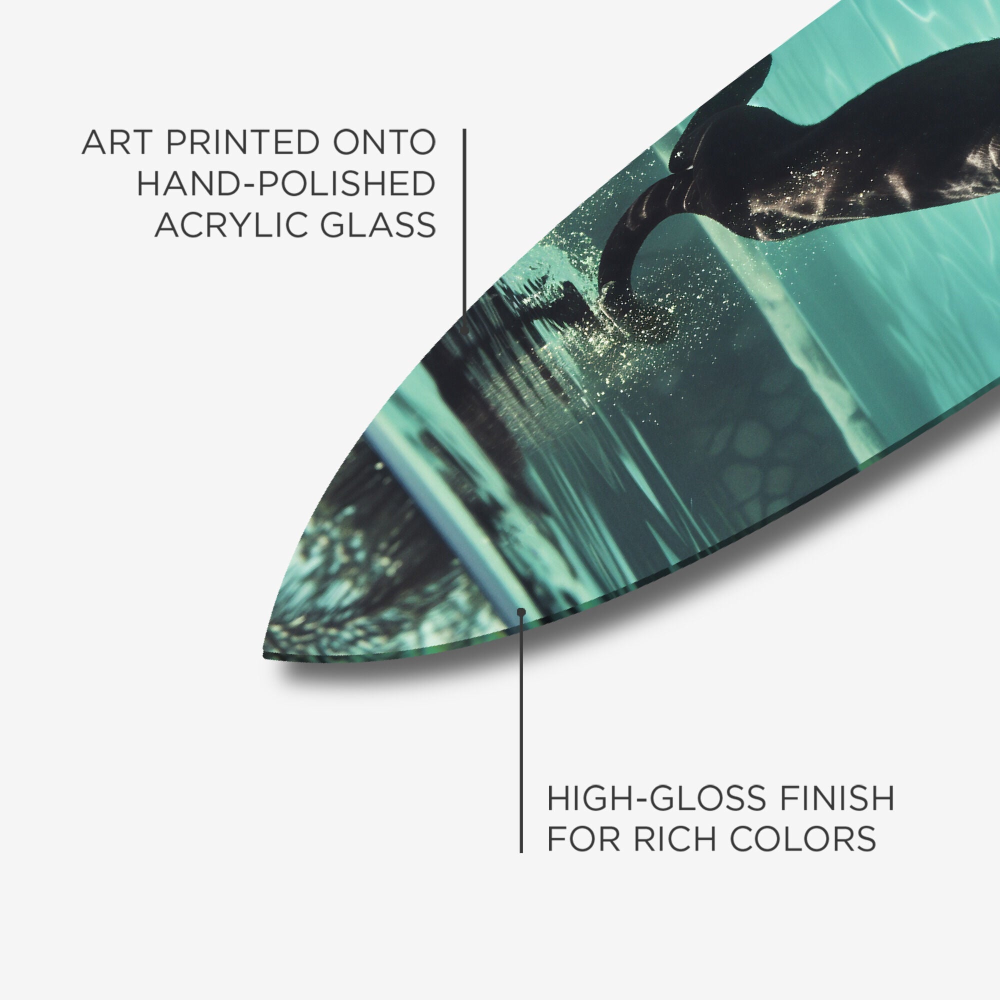 Panther Swim Surfboard