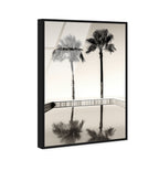 Two Palms