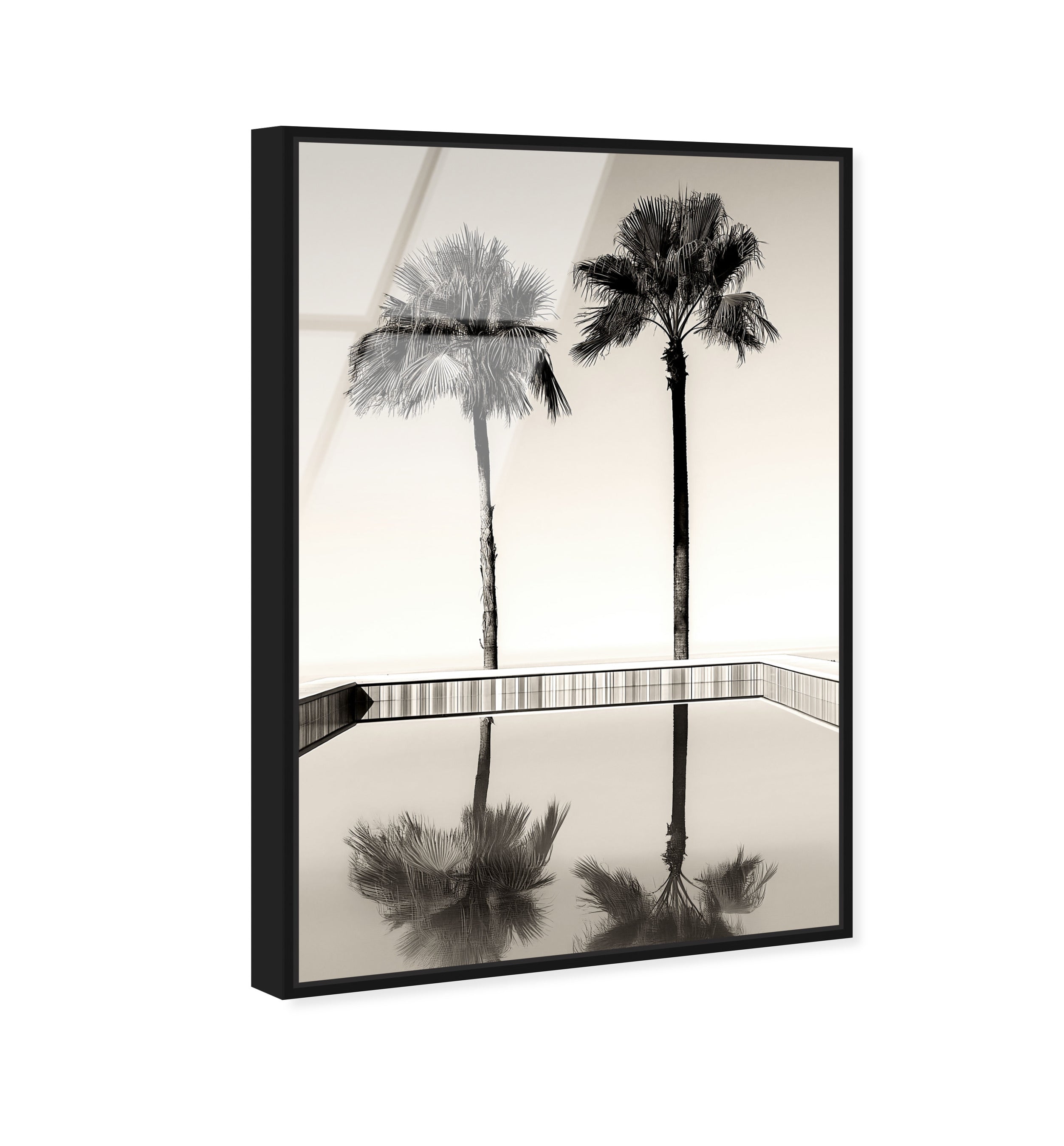 Two Palms
