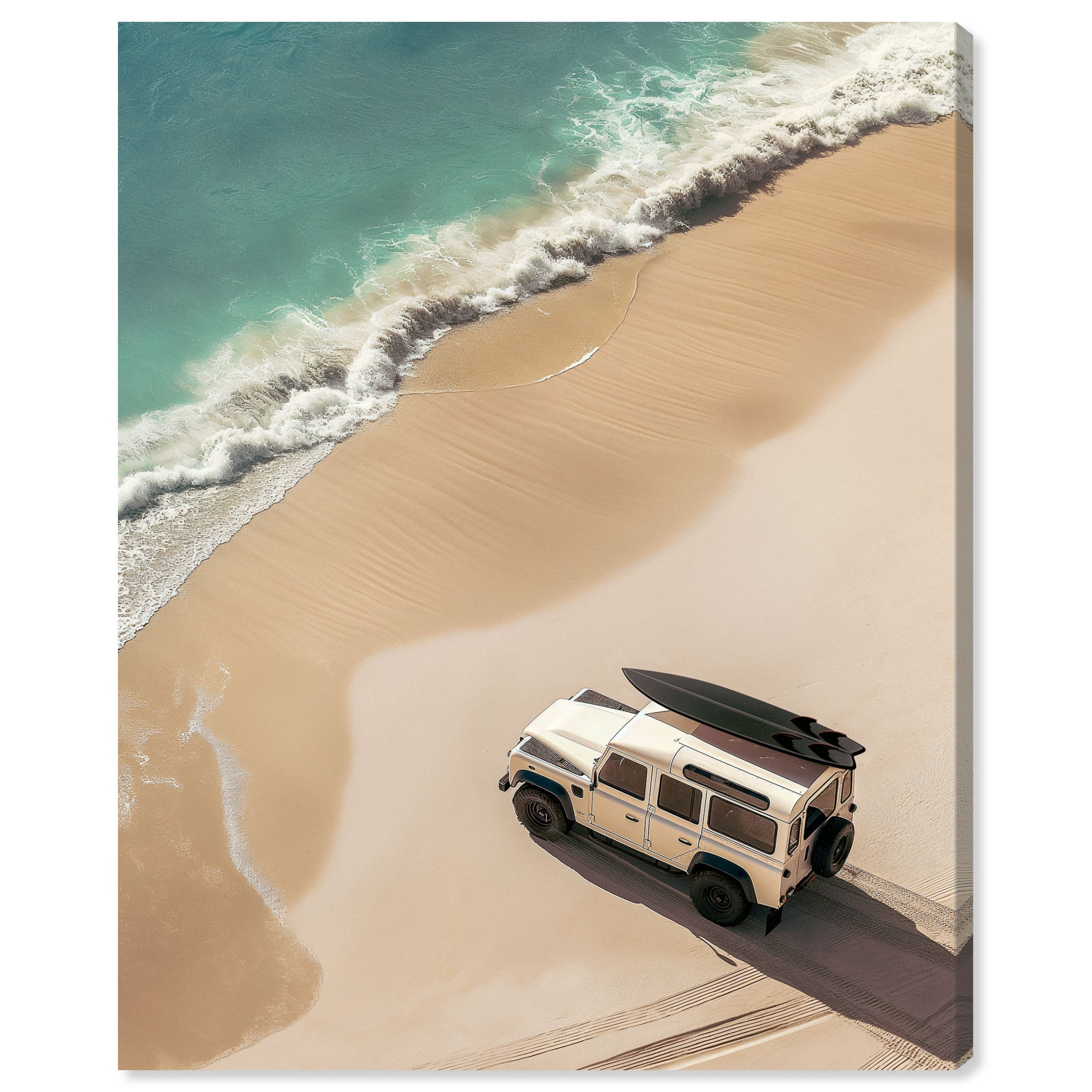 Surfing Safari Main image