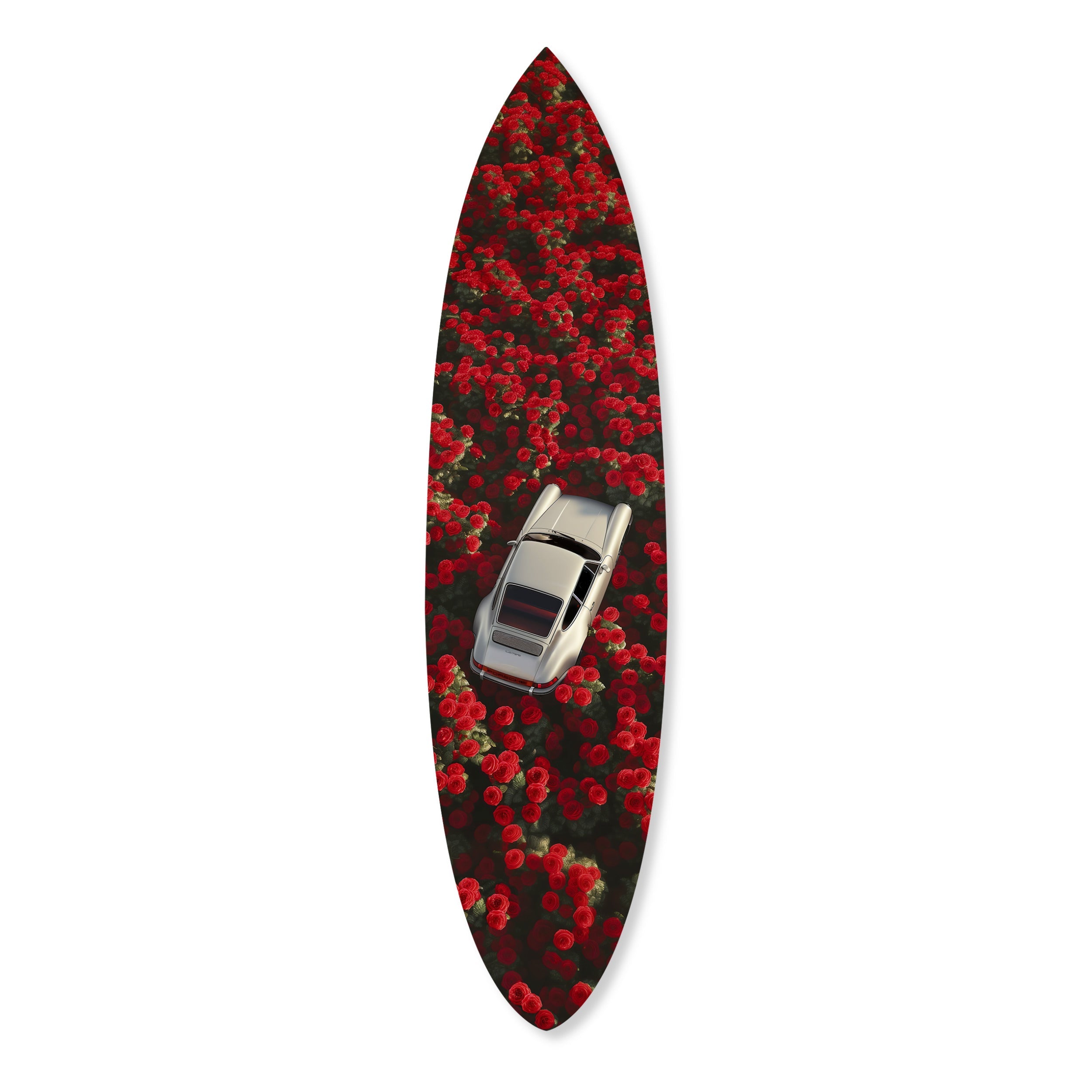 Carrera Field Surf Board II