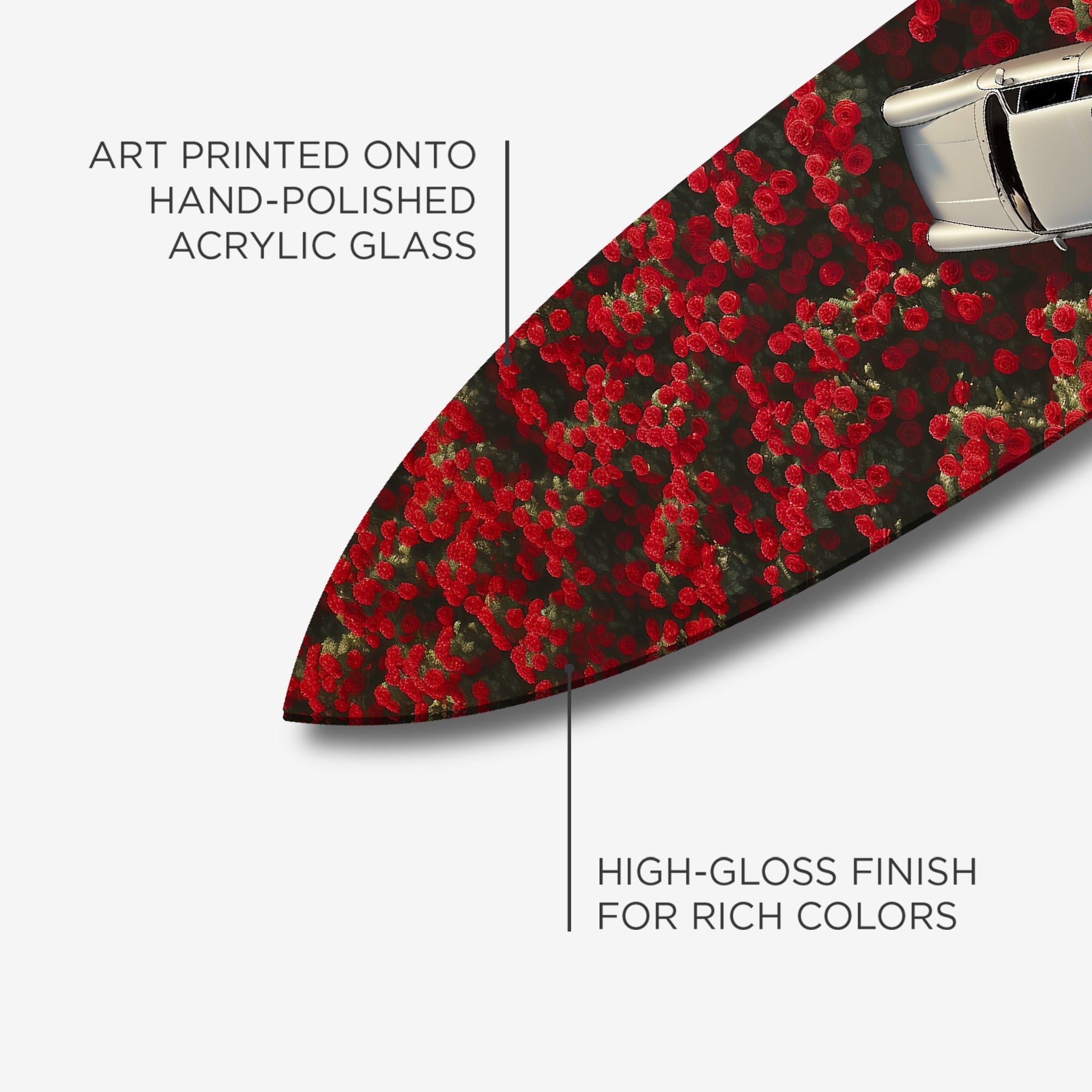 Carrera Field Surf Board II Secondary image
