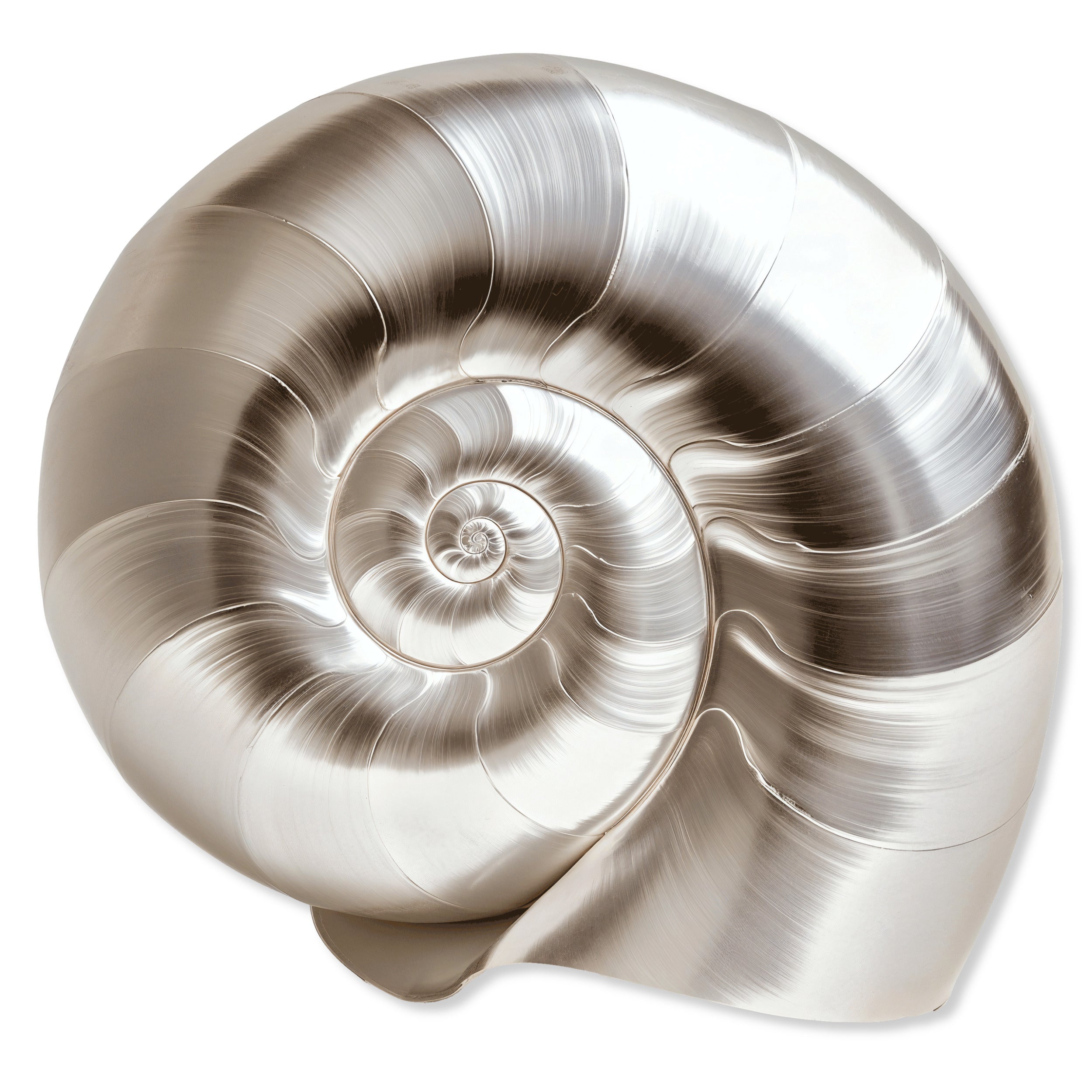 Nautilus Shell II | Acrylic Silhouette Main image