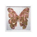 Butterfly Paper Sculpture Gold III | Hand Embellished & Sculptural Gold Leaf Art