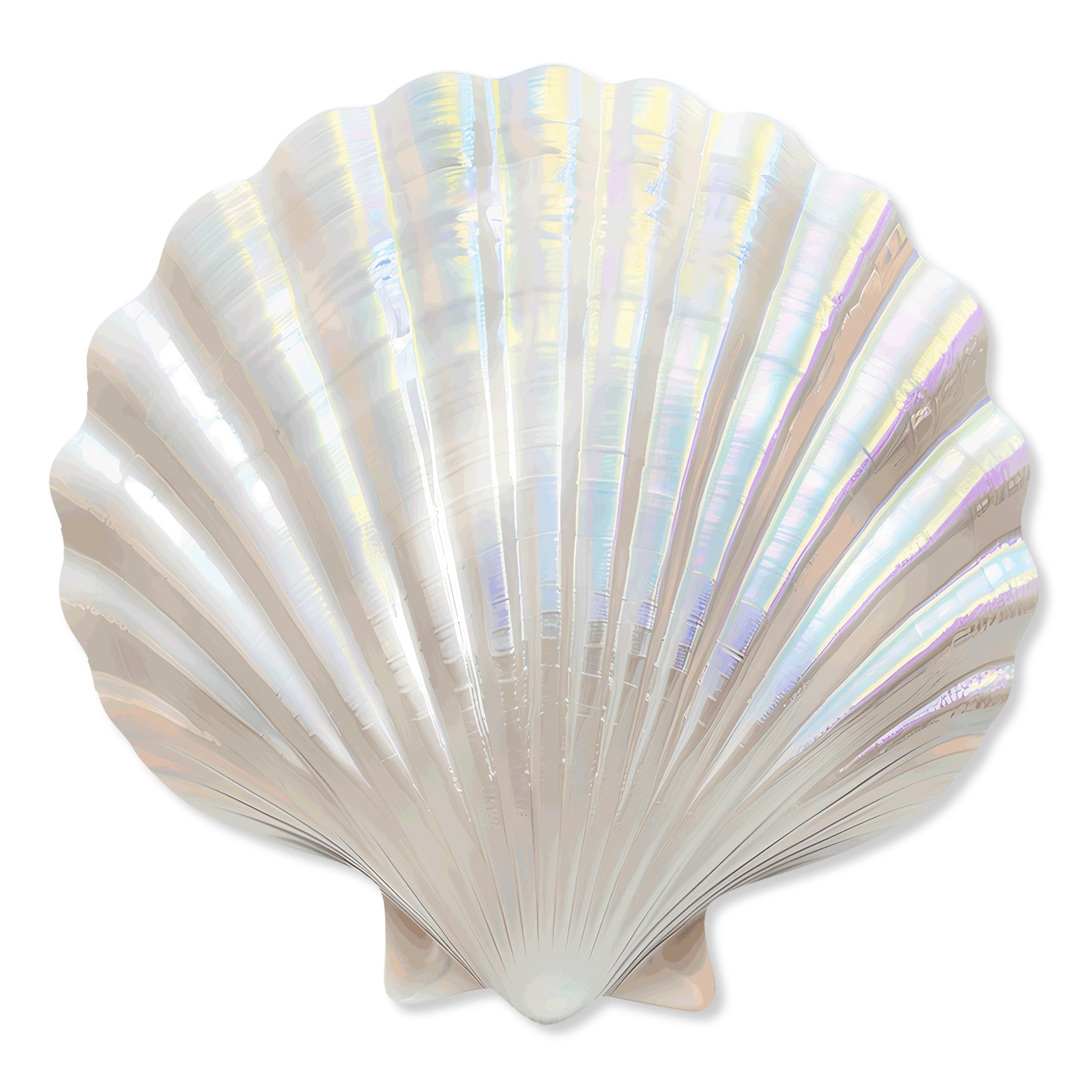 Fan Shell 2 | Acrylic Silhouette Main image