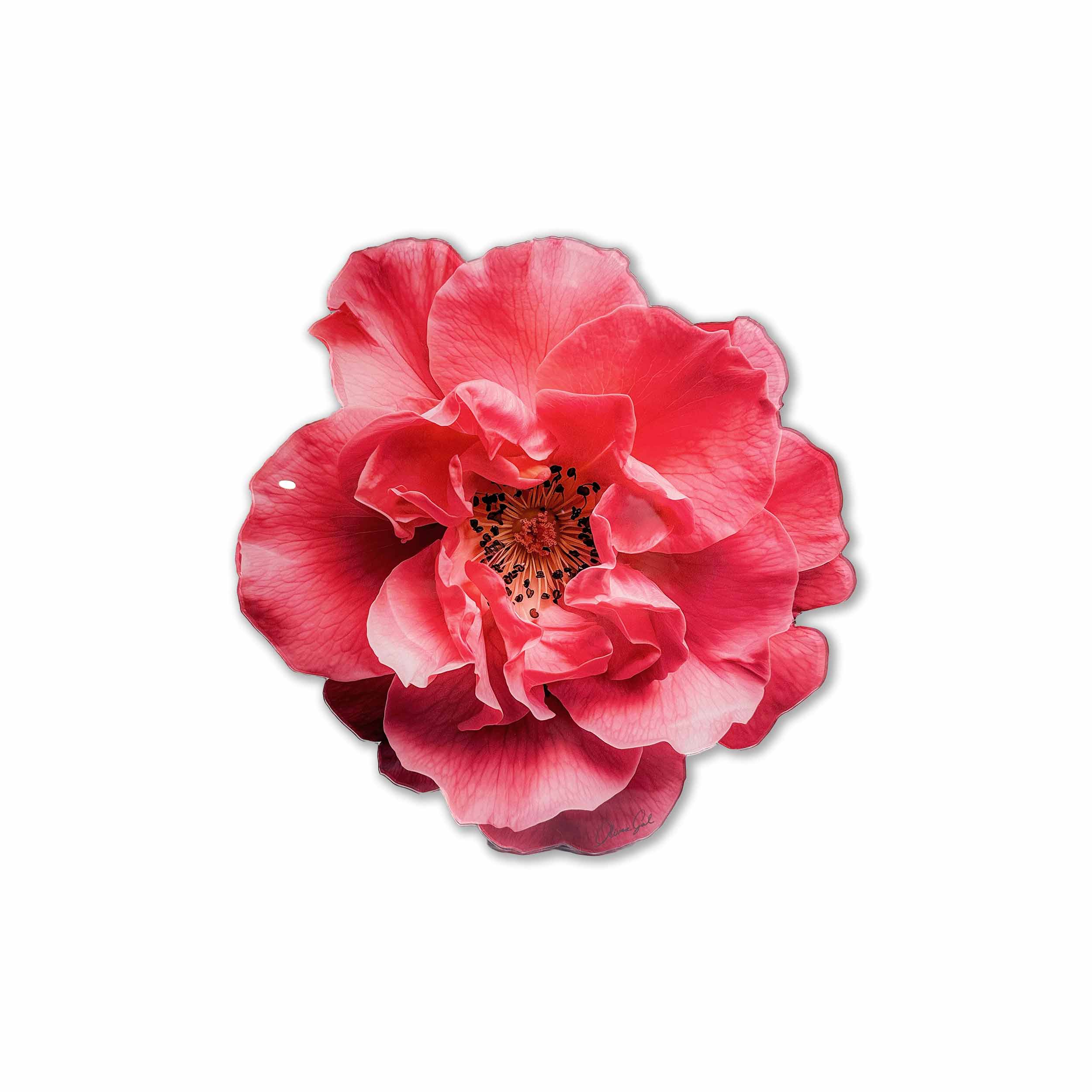 Flower | Acrylic Silhouette 2 Main image