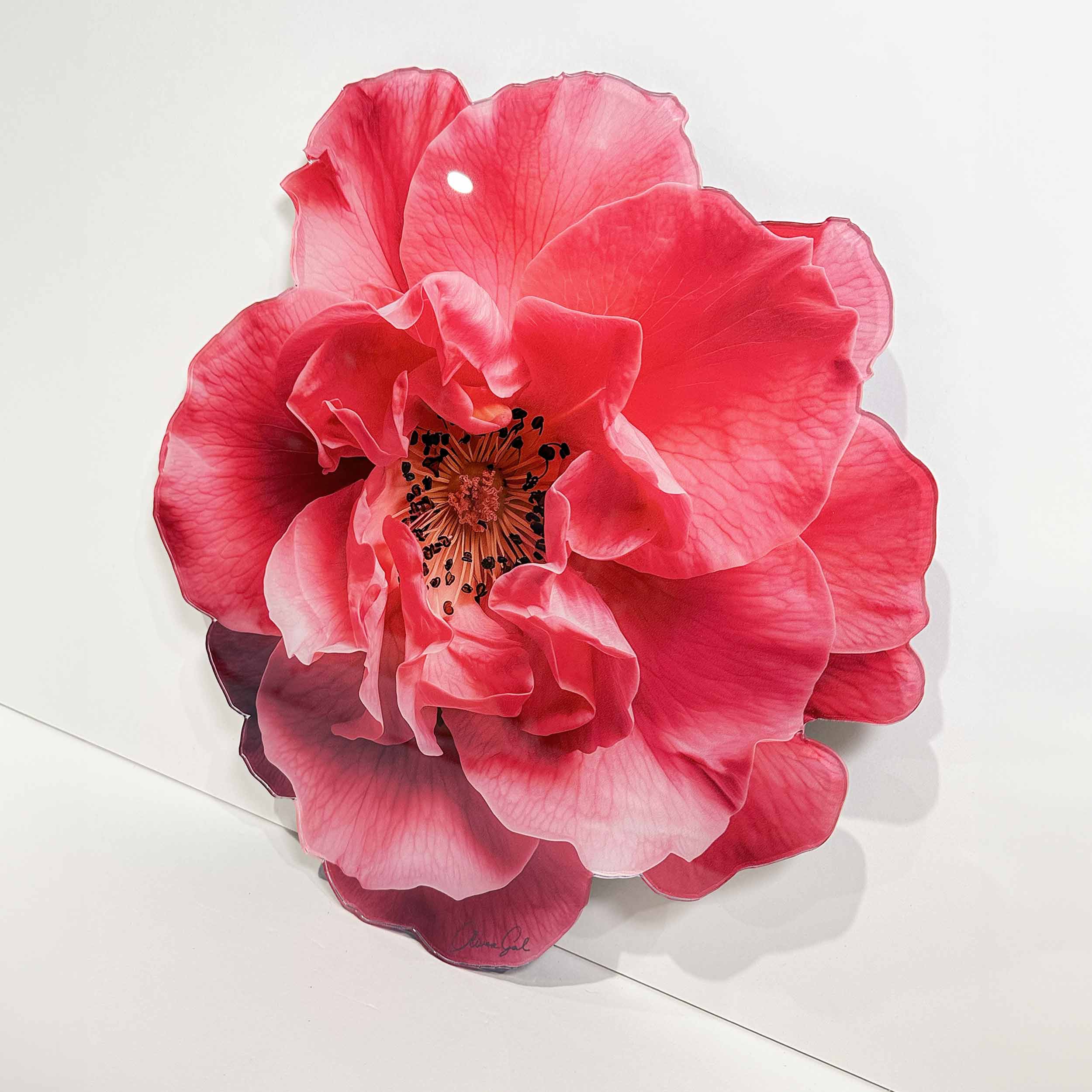 Flower | Acrylic Silhouette 2 Secondary image