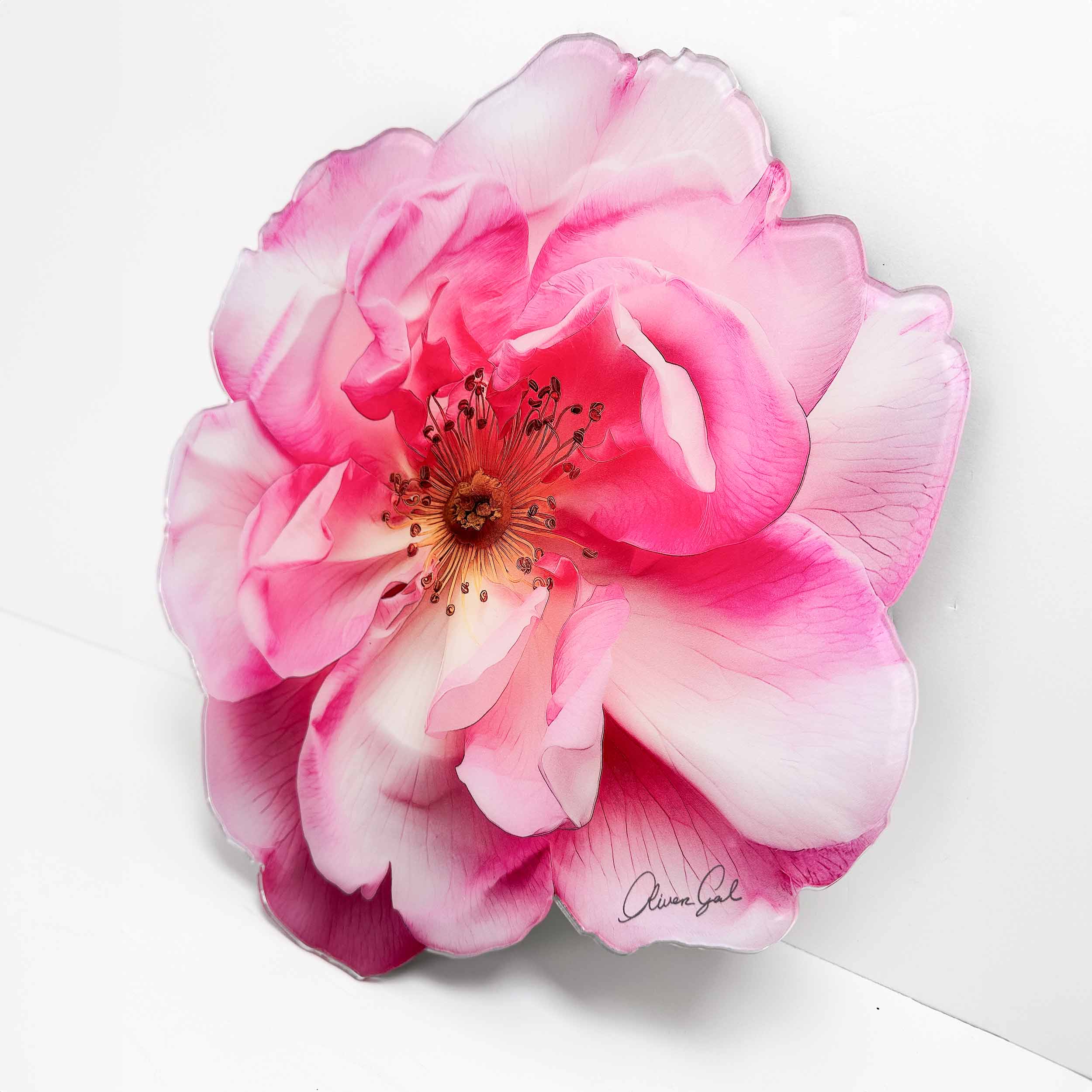 Flower | Acrylic Silhouette 4