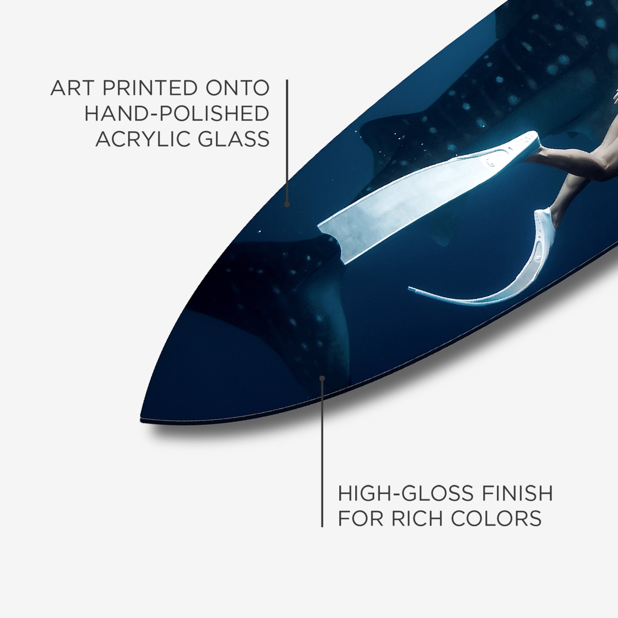 Shark Swim Surfboard Secondary image