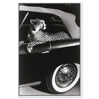 Convertible Feline I