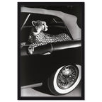 Convertible Feline I