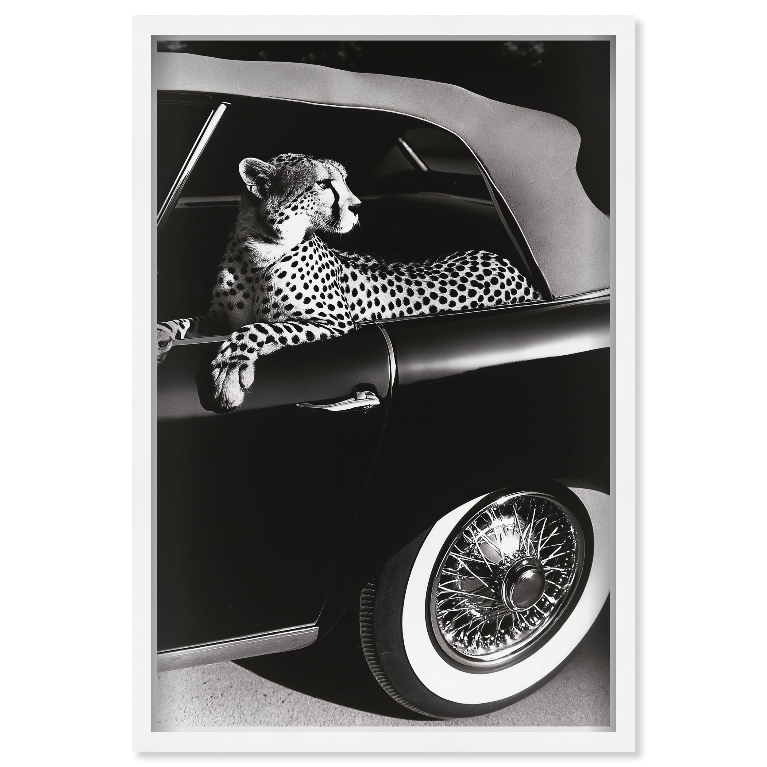 Convertible Feline I
