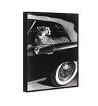Convertible Feline I