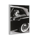 Convertible Feline I
