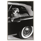 Convertible Feline I