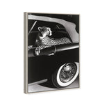 Convertible Feline I