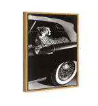 Convertible Feline I