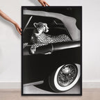 Convertible Feline I