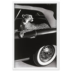 Convertible Feline I