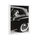 Convertible Feline I