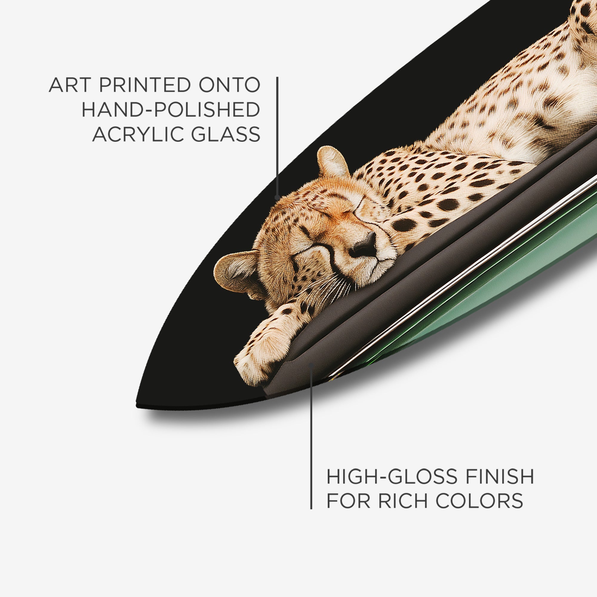 Sleepy Cadi Cheetah Surfboard Secondary image