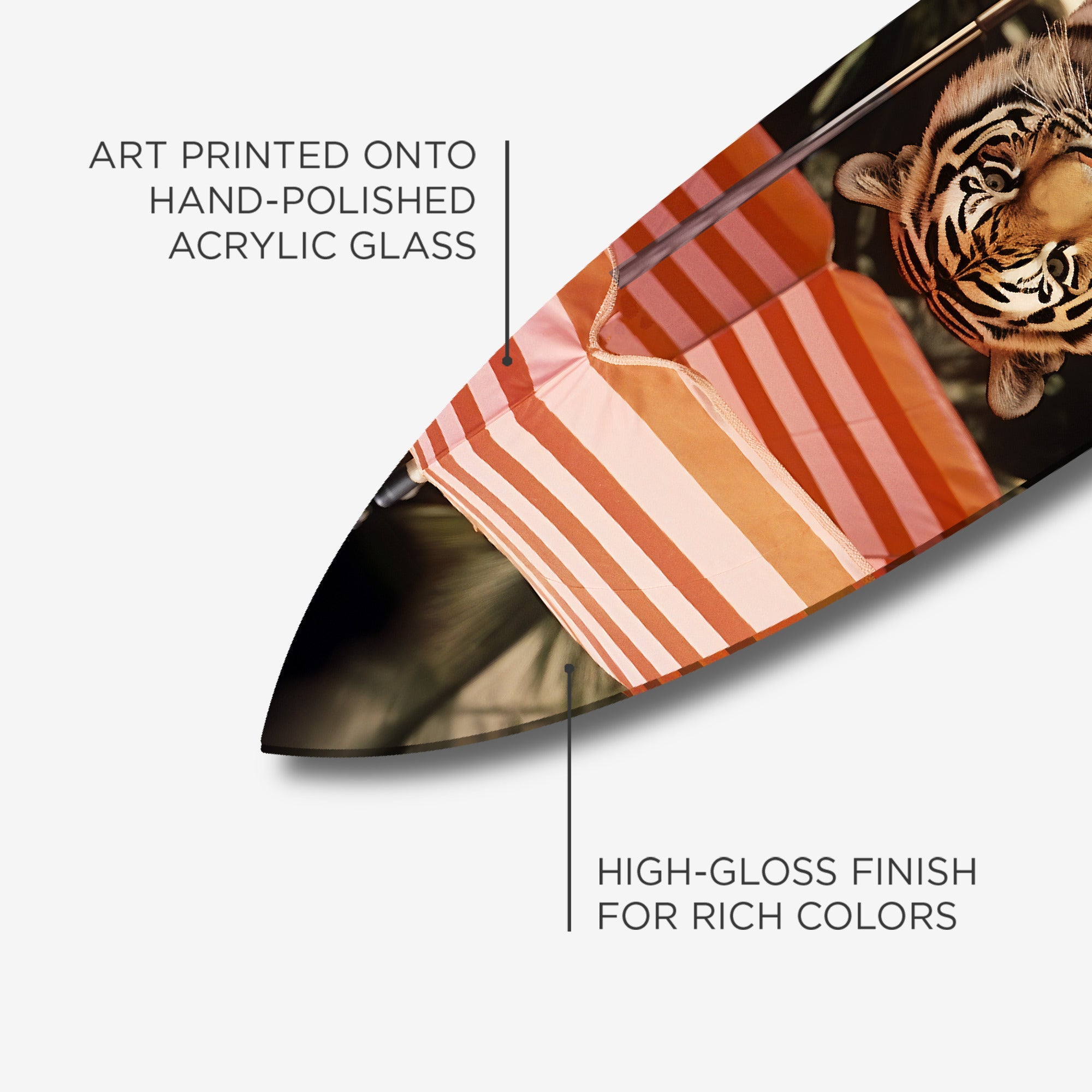 Tiger by The Pool Surfboard Secondary image