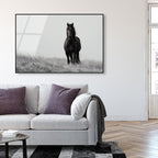 Lone Stallion I