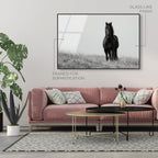 Lone Stallion I