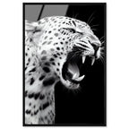 Leopard Roar